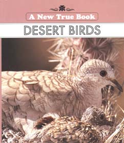 desert birds