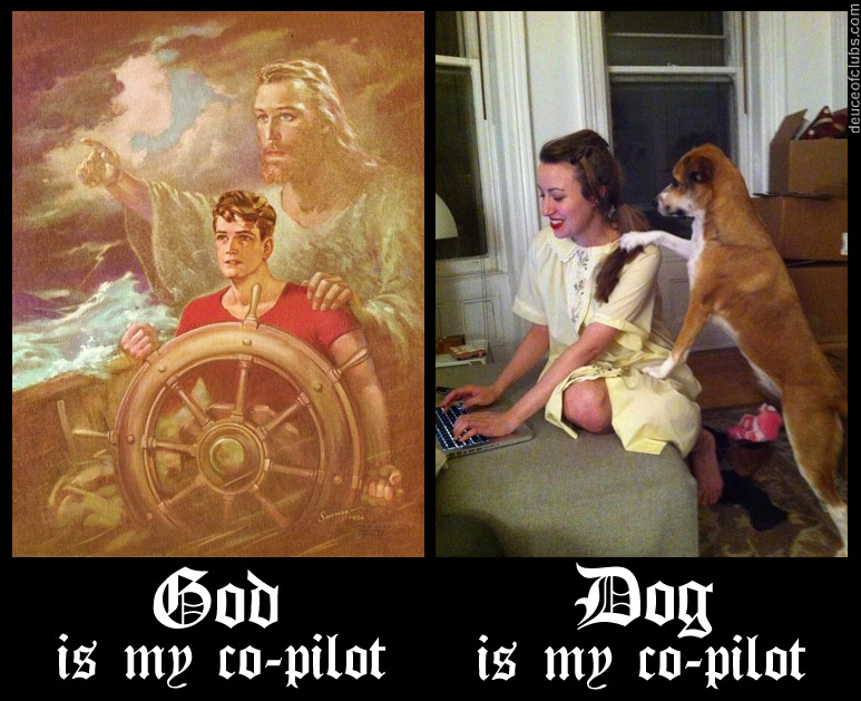 God is my co-pilot no wait DOG is my co-pilot