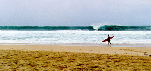 the wave