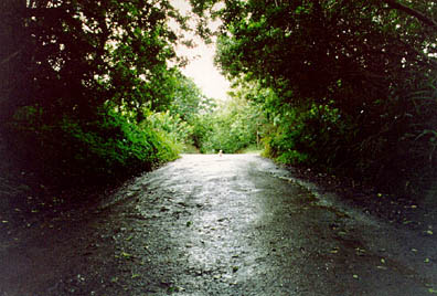 hui road