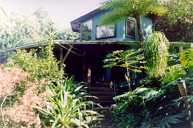 jungle hut
