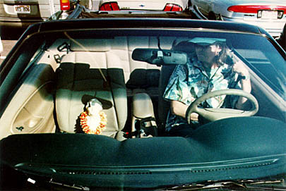 in the stang